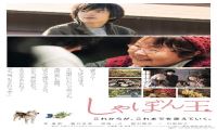 2017年 肥皂泡 [朴素 能洗涤心灵]720P/1080P下载在线观看-我淘网