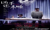 2016年 凶手还未睡 [生死欲搏之后 完美复仇之前]720P/1080P下载在线观看-我淘网