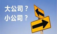 大公司 VS 小公司，毕业后到底该怎么选？-我淘网