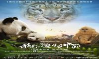 2016年 我们诞生在中国 [第31届中国电影金鸡奖最佳纪录片提名]720P/1080P下载在线观看-我淘网