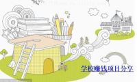 学校里有什么赚钱的好项目，老司机的赚钱经验干货分享-我淘网