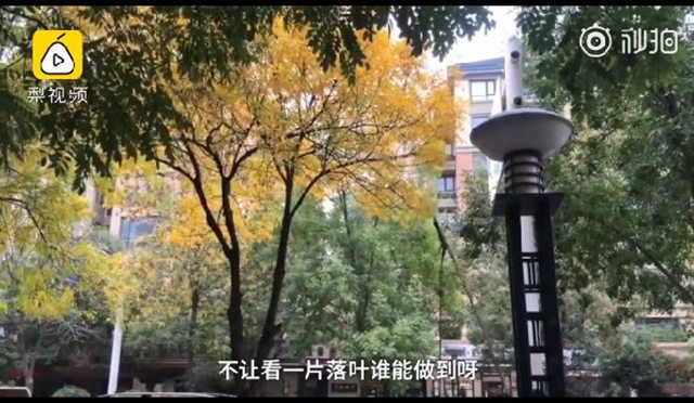 图片[13]-【喷嚏图卦20191106】没想到西医和中医已经是不一样两个神了-我淘网