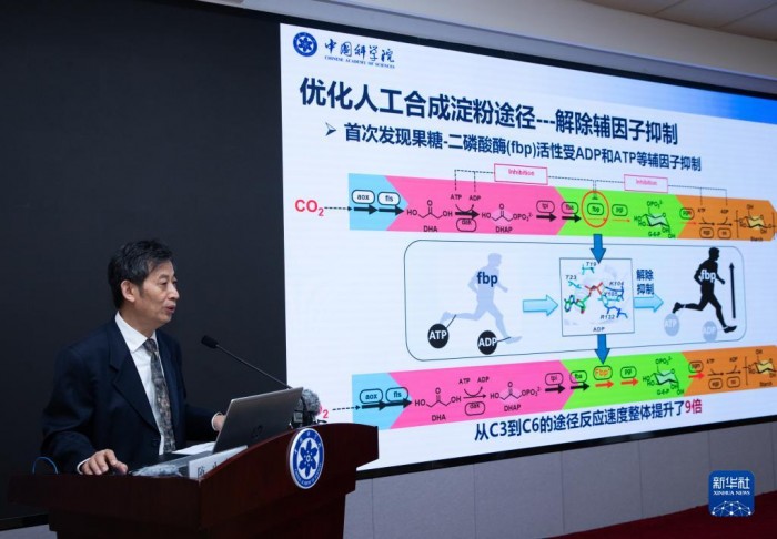 我国科学家突破二氧化碳人工合成淀粉技术