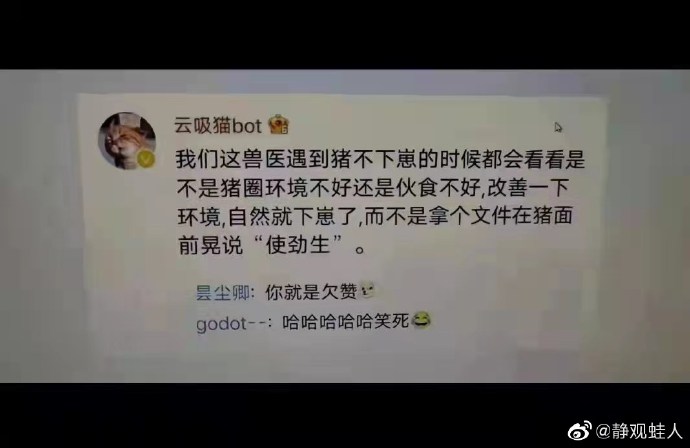 【喷嚏图卦20220124】在恶意里，他死了，15岁