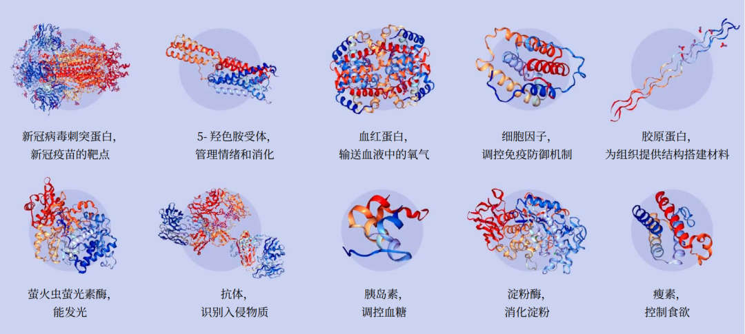 为何诺贝尔化学奖又颁给AI？万字详解：AI重塑结构生物学