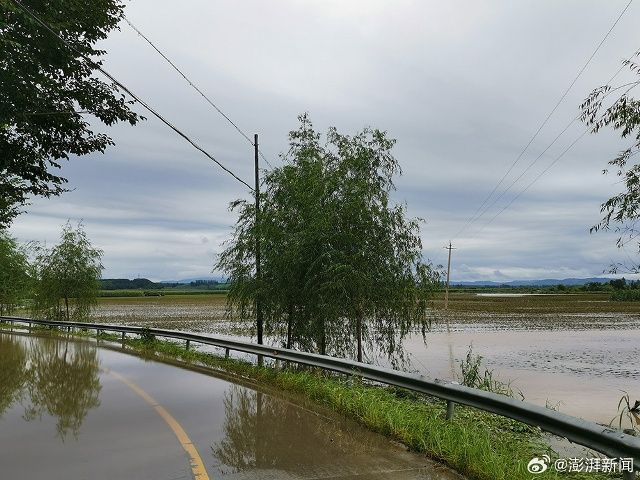 【喷嚏图卦20230807】涂鸦的后续变成了不能传回墙内的模样