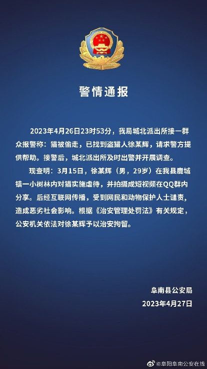 【喷嚏图卦20230428】这世上没有任何一个人该为一束花的义举付出这么大代价