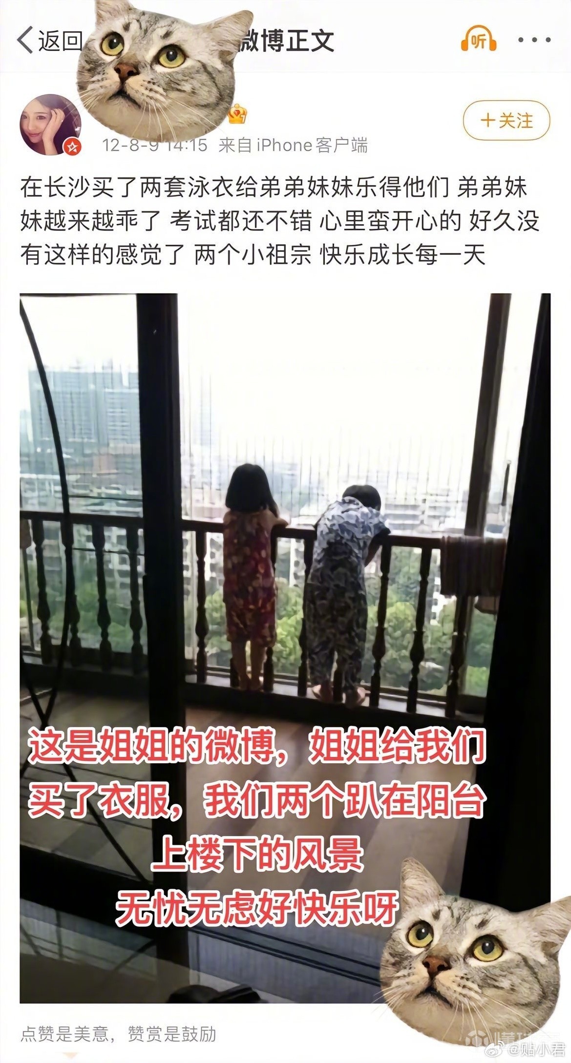 为网恋女友花费51万后被分手 21岁王者代练“胖猫”跳江自杀